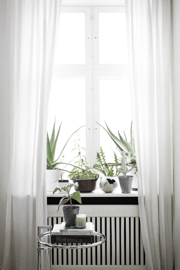 skandinavisk_home_interior_window
